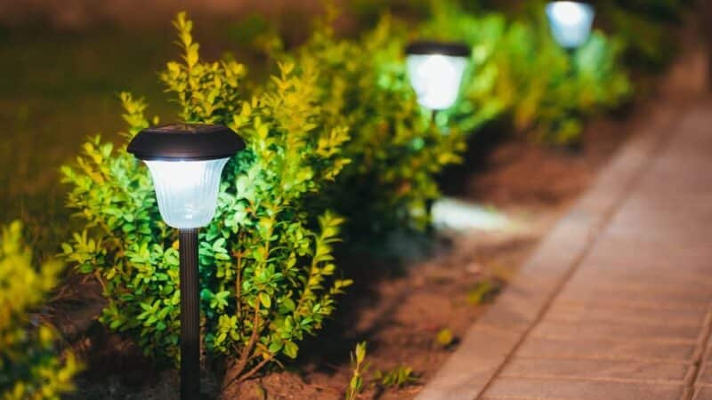 5 powodów, dla których warto postawić w ogrodzie na lampy solarne