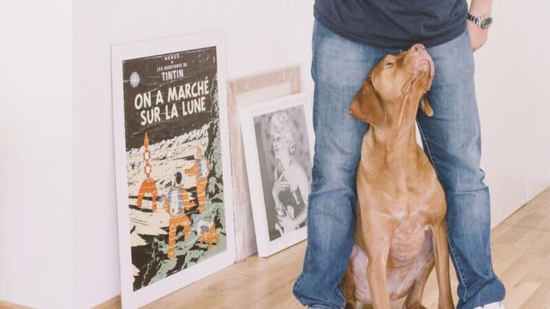 Sztuka na ścianach w stylu minimalistycznym – jak wprowadzić ją do wnętrza?