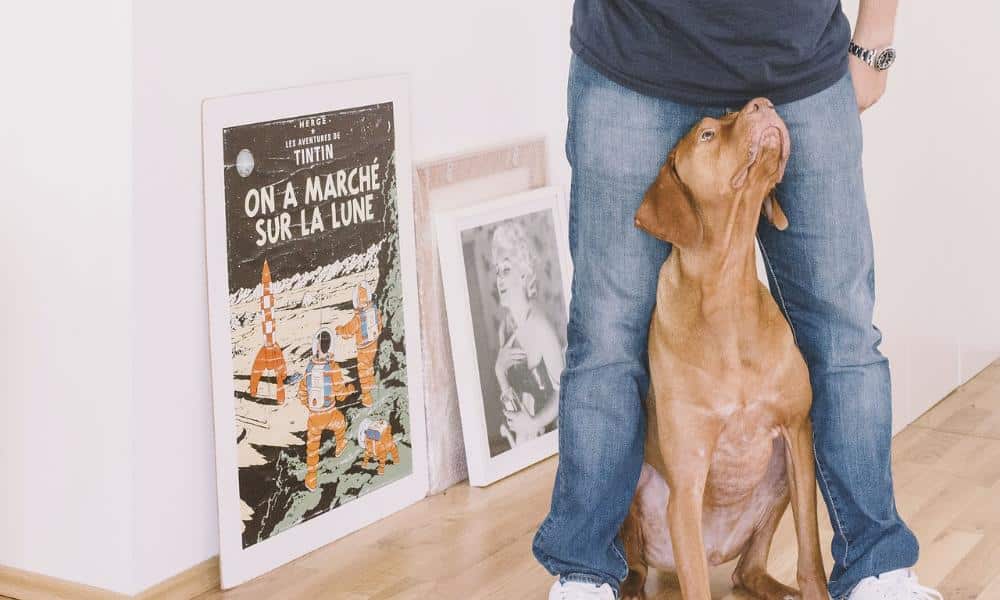 Sztuka na ścianach w stylu minimalistycznym – jak wprowadzić ją do wnętrza?